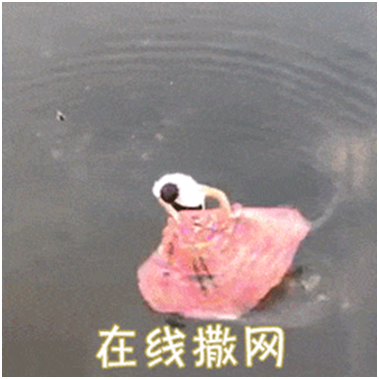 雙非想申港中文應該怎么做