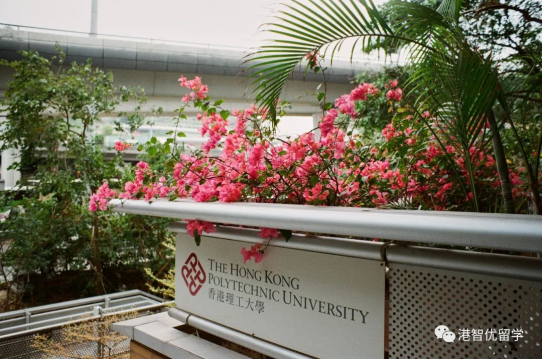 香港理工大學(xué)