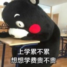香港留學(xué)1年要花多少錢？