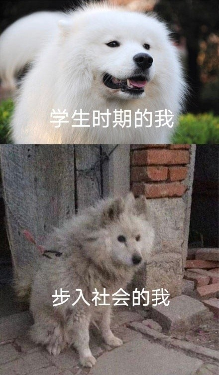 雙非大三，績(jī)點(diǎn)低，想去香港留學(xué)來(lái)得及嗎？怎么補(bǔ)救？