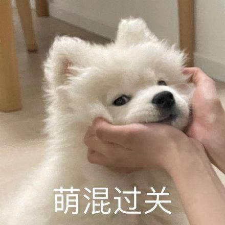 雙非大三，績(jī)點(diǎn)低，想去香港留學(xué)來(lái)得及嗎？怎么補(bǔ)救？