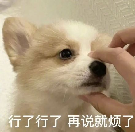 雙非大三，績(jī)點(diǎn)低，想去香港留學(xué)來(lái)得及嗎？怎么補(bǔ)救？