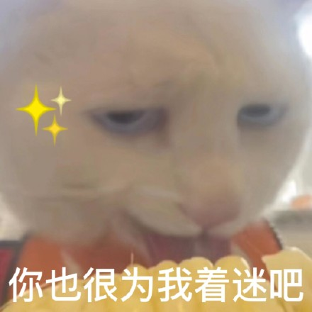 雙非大三，績(jī)點(diǎn)低，想去香港留學(xué)來(lái)得及嗎？怎么補(bǔ)救？