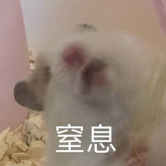 為什么不建議家境普通的學生讀商科？