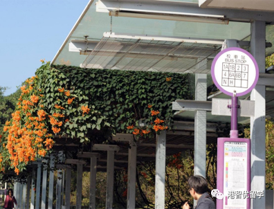 1個(gè)月倒計(jì)時(shí)！香港八大23Fall 3月截止申請的專業(yè)有哪些？